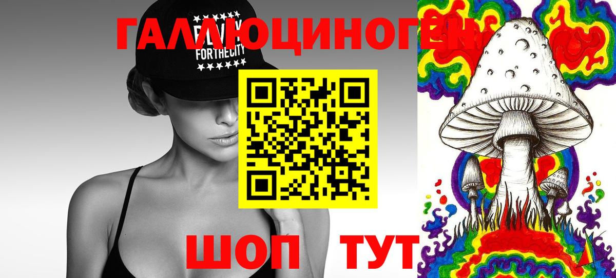 Гусев  Галлюциногенные грибы GOLDEN TEACHER  Вход с VPN 