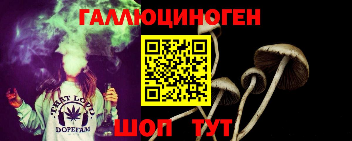 Псилоцибиновые грибы Magic Shrooms Гусев